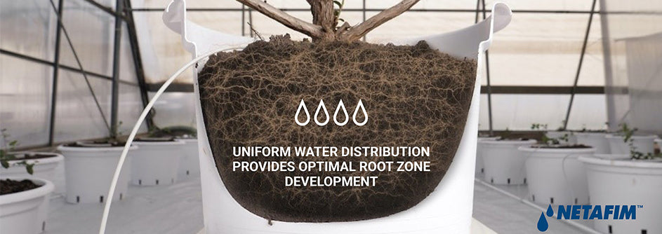 Netafim Netbow - The Future of Pot Irrigation