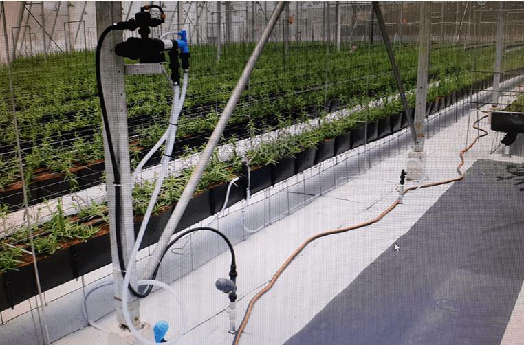 Amiad Fertiliser Injectors