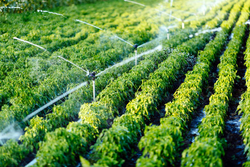 Farming Irrigation Supplies