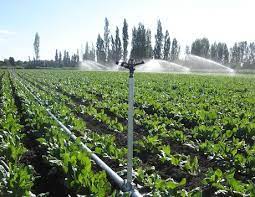 VYRSA Plastic Impact Sprinklers
