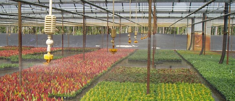 Greenhouse Supplies