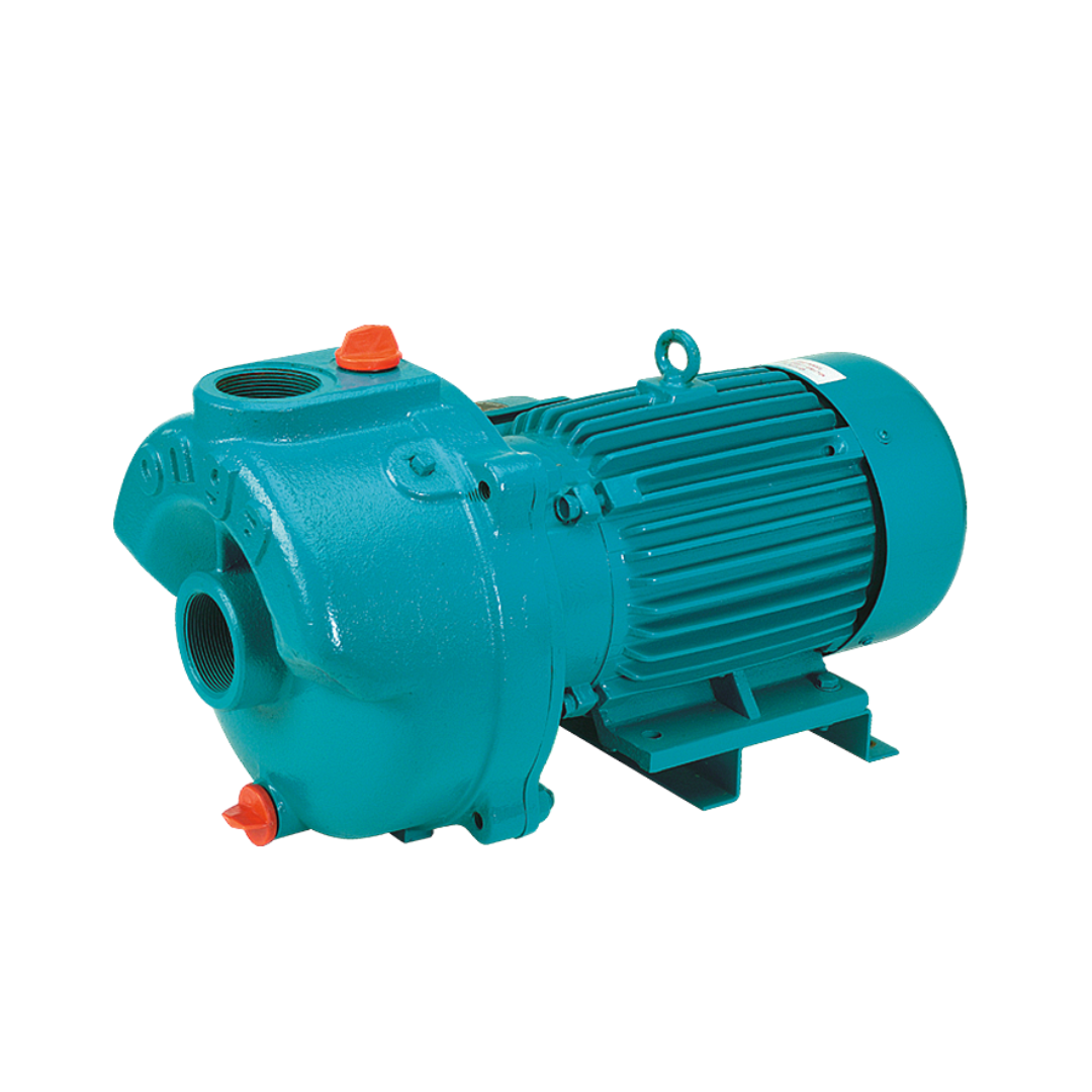 Onga 18 Series Hi-Flo Cast Iron Pumps