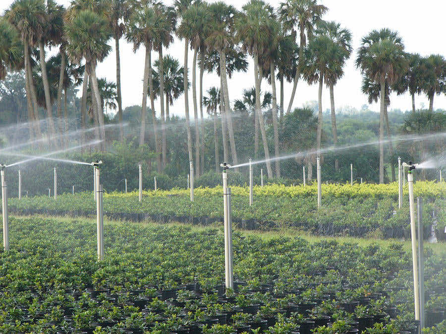 Senninger 50 Series Full Circle 20mm Male Plastic Impact Sprinklers with Double Nozzle and Heavy-Duty Body