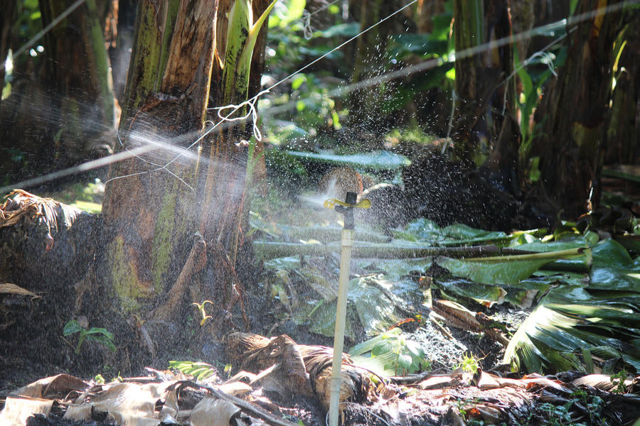 Senninger 50 Series Full Circle 20mm Male Plastic Impact Sprinklers with Double Nozzle and Heavy-Duty Body