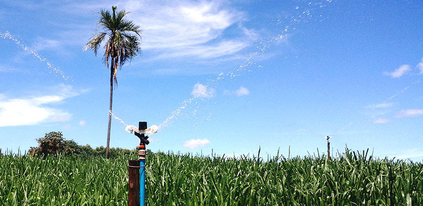 Senninger 30 Series Full Circle 20mm Male Plastic Impact Sprinklers with Double Nozzles