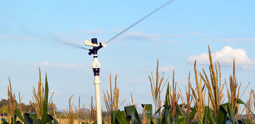 Senninger 40 Series Full Circle 20mm Male Plastic Impact Sprinklers with Double Nozzle and Enhanced Throw