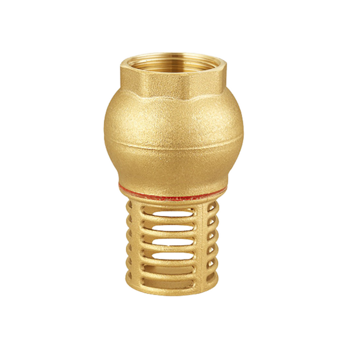Norma Brass Foot Valves with Strainer (Non-Return Valves) Threaded