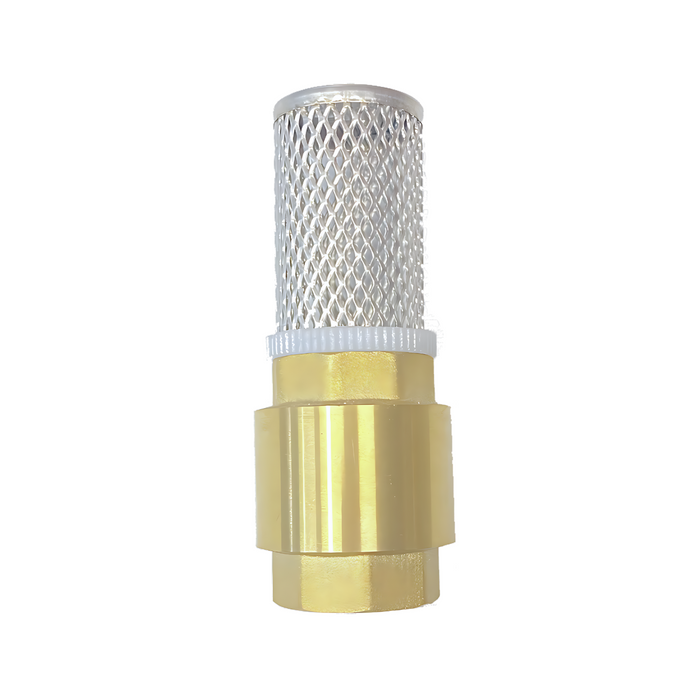 Grundfos 25mm Brass In-Line Spring Foot Valve with Strainer (Non-Return Valve) Threaded