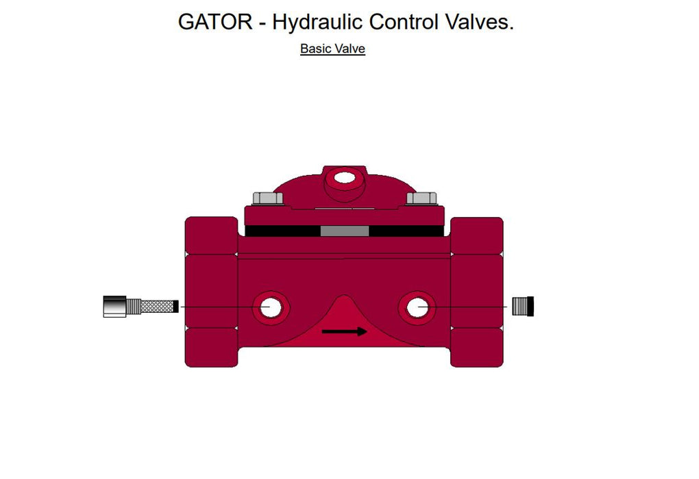 Gator W Series Cast Iron Threaded Basic Hydraulic Valves with Finger Filter PN16 (25mm-80mm)