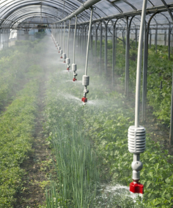Greenhouse Irrigation