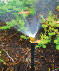 Spray Irrigation