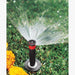 Hunter Pro-Spray Sprinkler 50/Box Product Name: 5cm (2") Pop-up Spray Body - 50/Box, 8cm (3") Pop-up Spray Body Box Set - 50/Box, 10cm (4") Pop-up Spray Body Box Set - 50/Box, 15cm (6") Pop-up Spray Body Box Set - 25/Box, 30cm (12") Pop-up Spray Body Box Set - 25/Box
